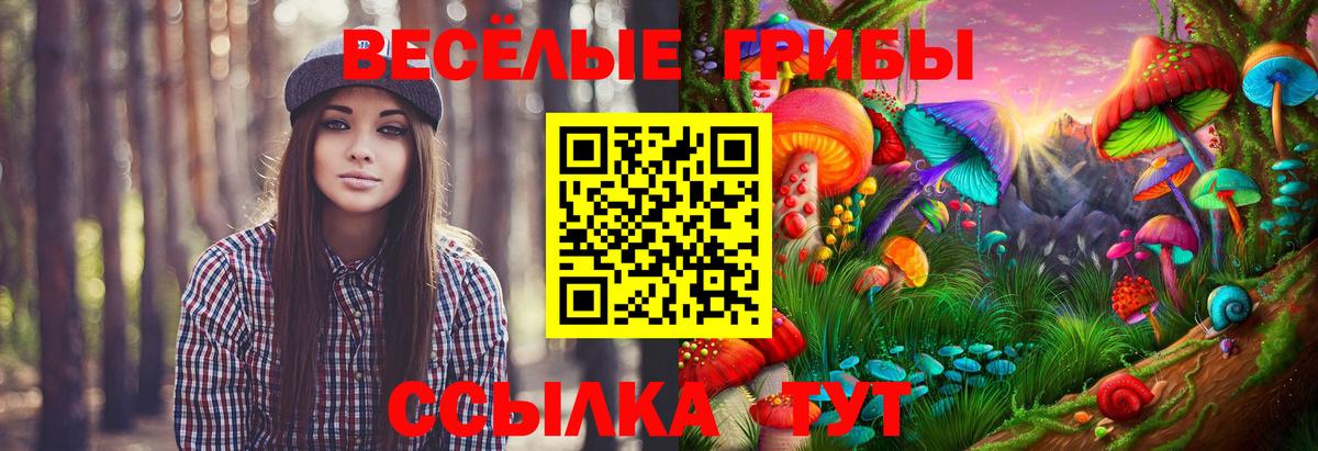 Псилоцибиновые грибы MAGIC MUSHROOMS Вязьма